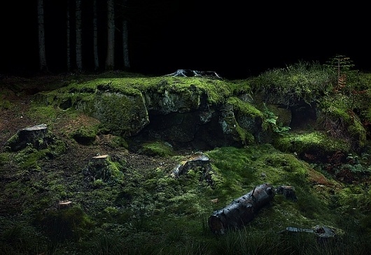 Tim Simmons – images #photography #nature