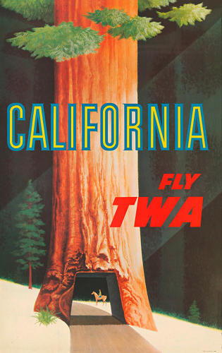california, airline, poster, illustration