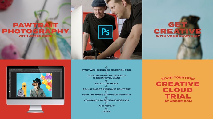 Adobe Pawtraits - Mindsparkle Mag For The People & ilana grace designed this beautiful project named Adobe Pawtraits. #logo #packaging #identity #branding #design #color #photography #graphic #design #gallery #blog #project #mindsparkle #mag #beautiful #portfolio #designer