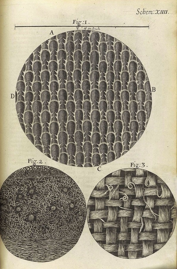 Freytag Anderson — Blog #diagram #illustration