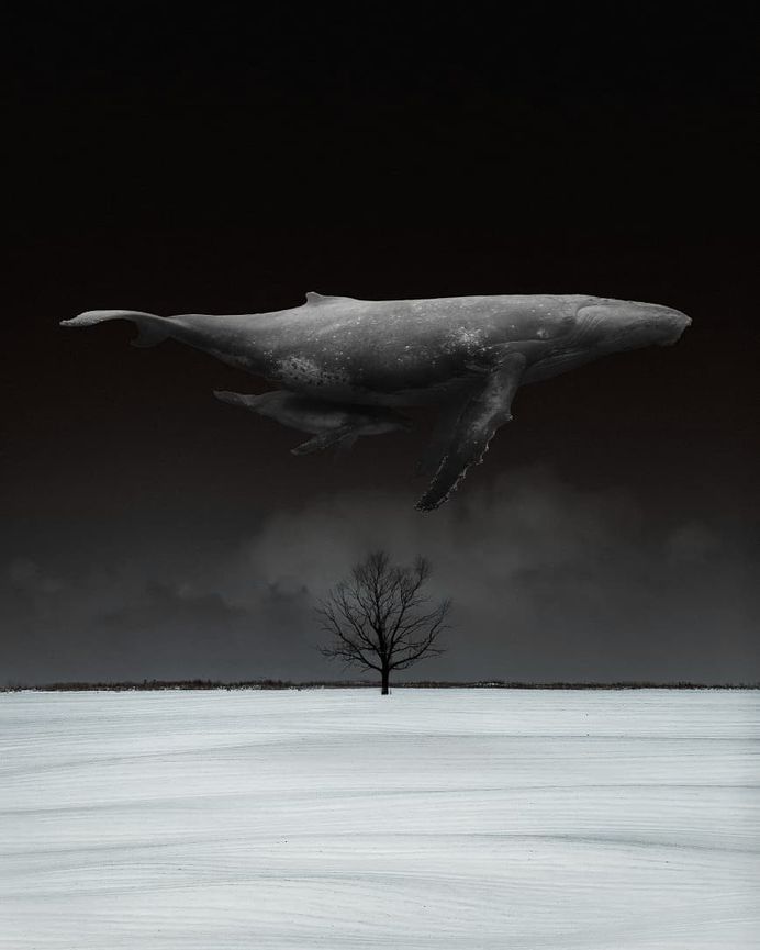 Surreal and Dreamlike Photo Manipulations by Farhad Khodayari