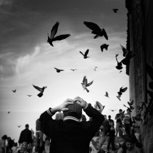 External Photo Inspiration – Expressive Pictures By Mustafa Dedeoglu | Cromoart #photography