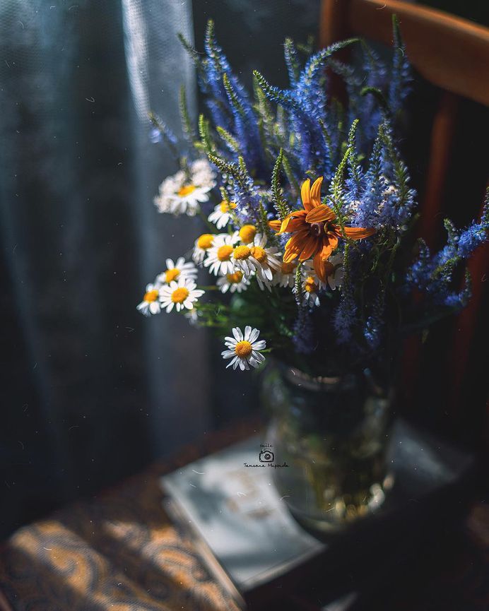 Fine Art Flowers Photography by Tatyana Mironova