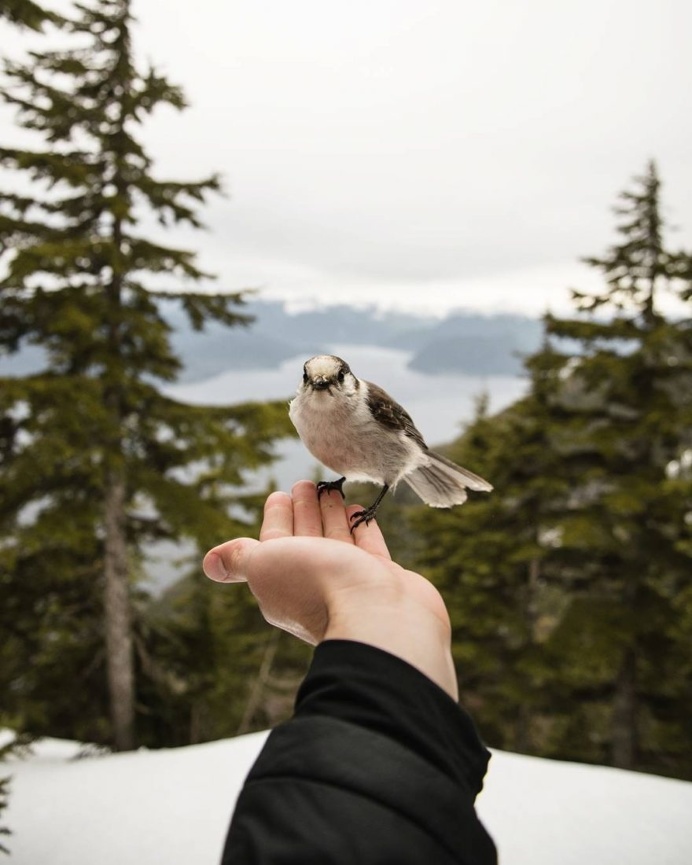 Stunning Adventure Instagrams by Max Zedler