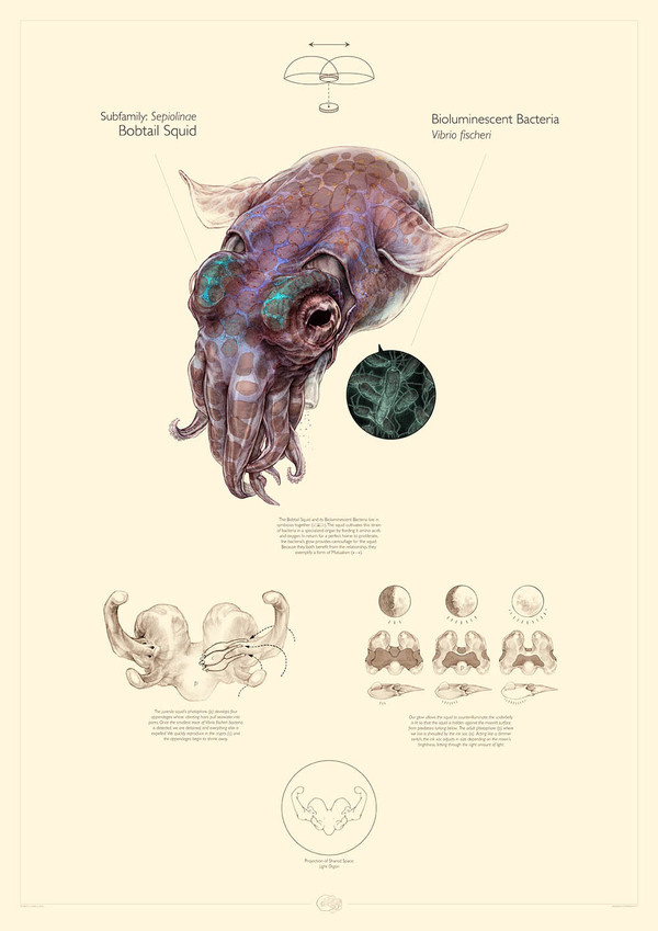 Robert Long #illustration #sea #creature
