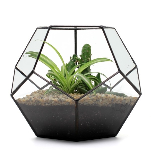 Dodecahedron Terrarium #design