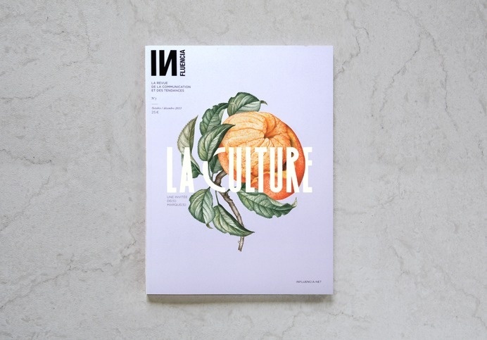 INFLUENCIA N°7 –Violaine & Jérémy #cover #grid #illustration #magazine