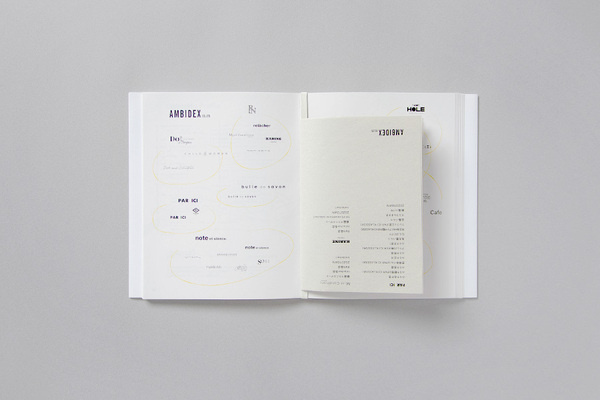 Ambidex Company Book | Kamimura Typografie Gestalten #print #editorial