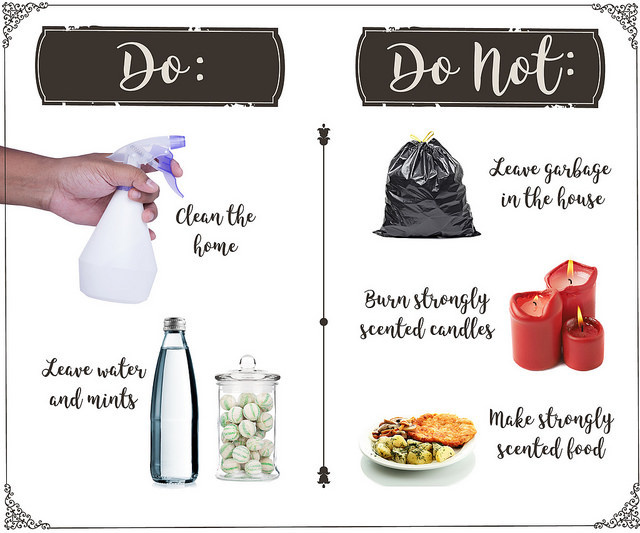 Dos and Do Nots of Staging