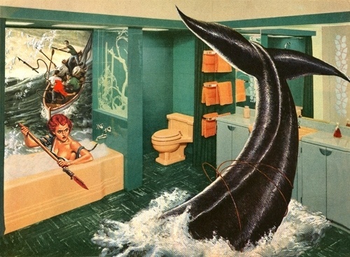 Nadine Boughton #in #adventures #homes #illustration #true #better