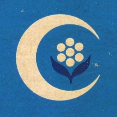 Draplin Design Co.: A Return To Junkin' #mark #sun #illustrated #illustration #vintage #flower #logo #blue