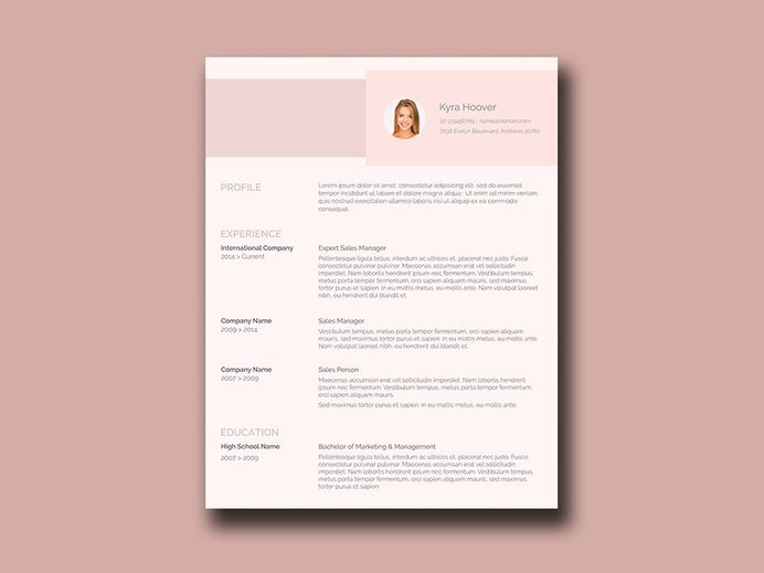 Free Resume Template with Feminine Style