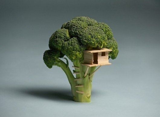 Broccoli House | Colossal #broccoli #house