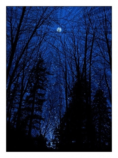 10.12.01.cold_.moon_1.jpg (JPEG Imagen, 675x900 pixels) - Escalado (89%) #print #night #poster #forest #moon