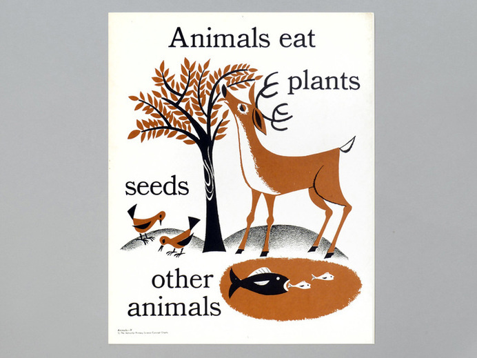 Children's book