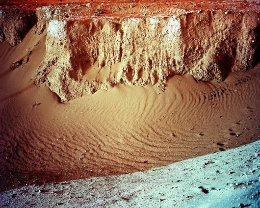 Primordial and cellular levels of knowing. — Synaptic Stimuli #photography