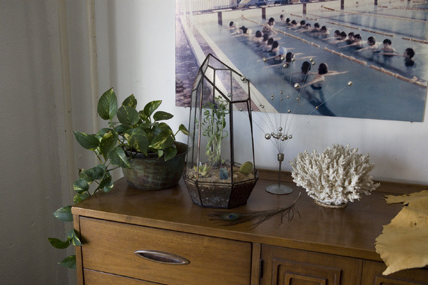 Score + Solder #interior #terrarium #cactus