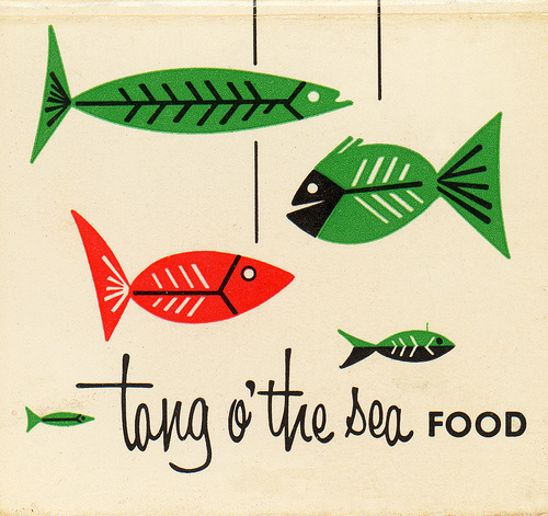 Tang o' the Sea on Flickr Photo Sharing! #fish