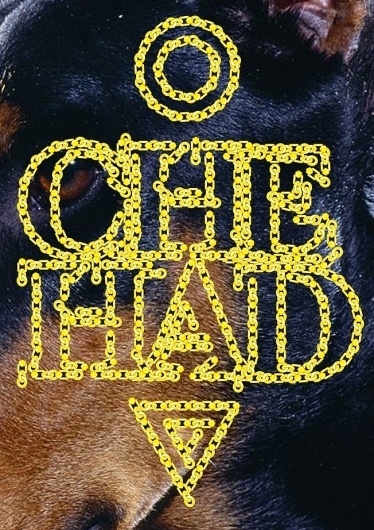 Chehad Abdallah #chehad #com