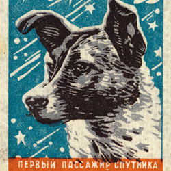 DOGMONAUT #stamp #war #russian #soviet #cold #space #illustration