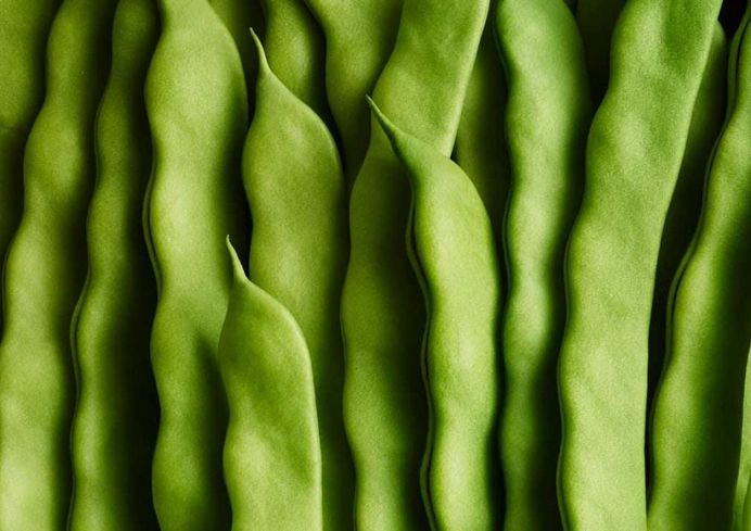 Green beans by Andy Grimshaw