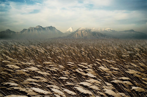 petroskoublis 02 #field #mountains #snow
