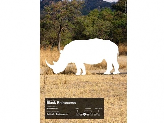 Victor van Gaasbeek • Graphic designer • Illustrator • Empty Space #empty #space #poster #animals