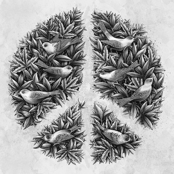 Peace #peace #illustration