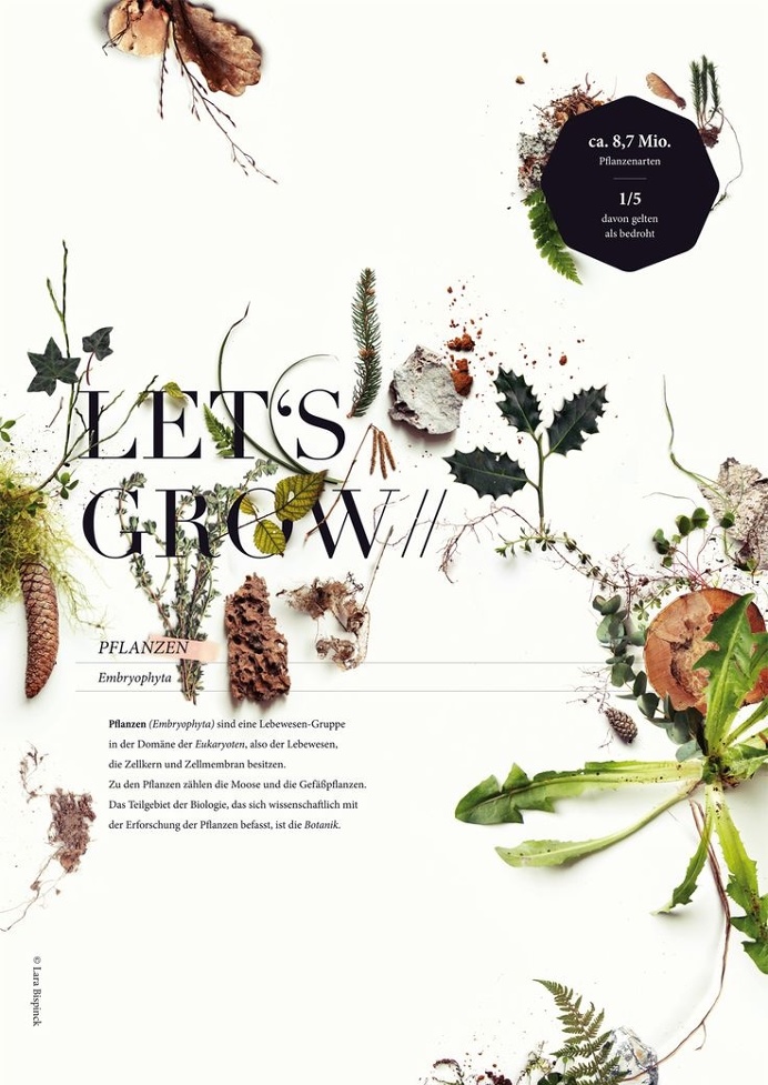 #botanical #poster #larabispinck #grow #growing #plants #photography #leaves #wood #forest #collection #graphicdesign #typography #print #na