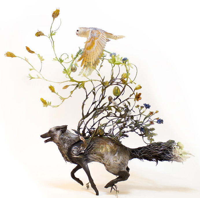 coyote, wolf, owl, foliage, art, fine art, sculpture, Ellen Jewett, Jewett, animal