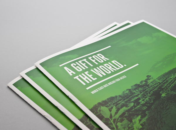 Brochure design idea #59: Avocado Zapotlan Brochure #avocado #mexico #mno #editorial #brochure