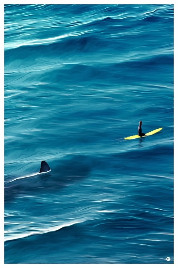 jaws_small_1024x1024.jpg (679×1024) #jaws