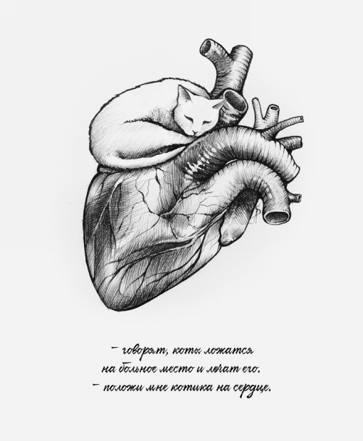 cats can heal - Anastasis - instagram.com/artanastasis/
