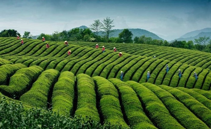 Winning Travel Shots From The 2016 Siena International Photo Awards