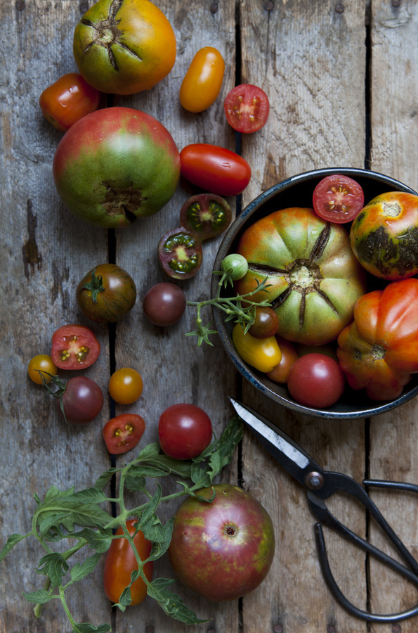 Askr•Archiverr•BIO #food