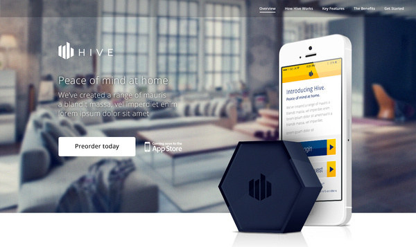 Website #splash #design #web #page