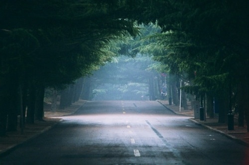 любоваться on we heart it / visual bookmark #11566384