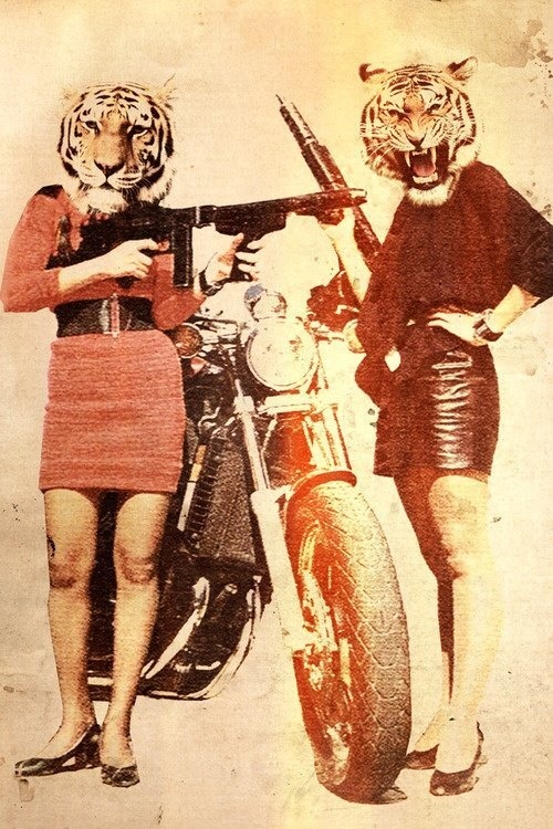 Art for Amy #tigers #motorbike #style #anti