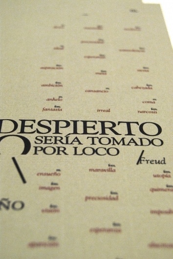 Diego Pinzon, Industrial Designer from Buenos Aires CF, Argentina #diego #pinzon #dictionary #layout #typo #typography