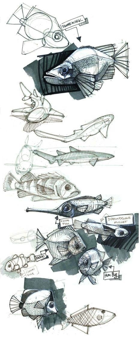 rsz_44_fish1.jpg #sketches