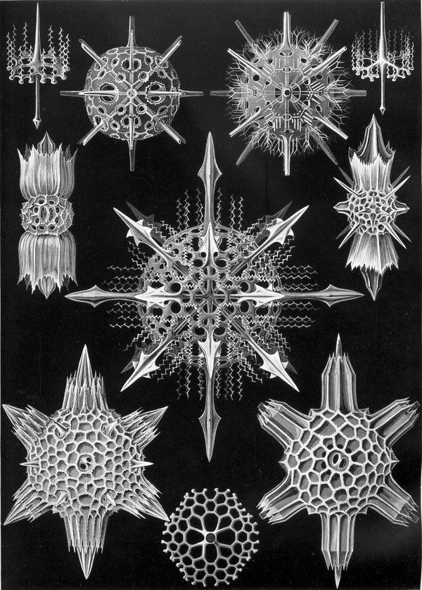 Microscopic – Rare Book 2 #vintage
