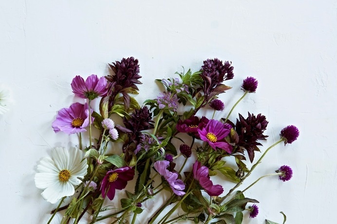 Taproot Flowers - Art Direction by Linsey Laidlaw, Photographed by Alpha Smoot #arrangement #alpha #floral #direction #linsey #photography #art #smoot #laidlaw #flowers