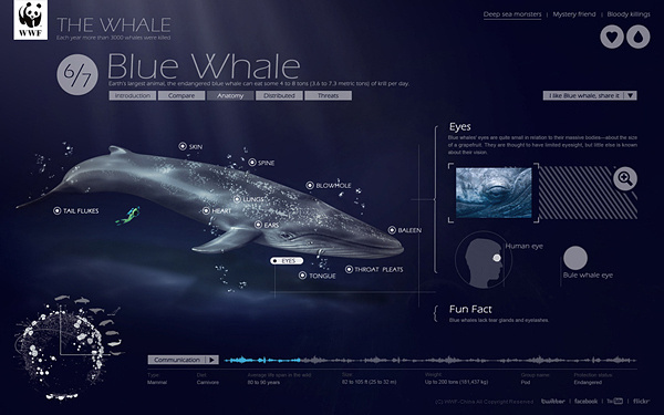 The whale on Web Design Served #web