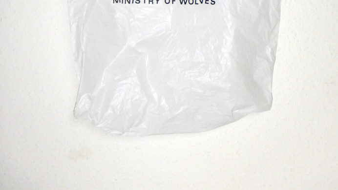 MINISTRY OF WOLVES #photography PHOTOGRAPHIE (C) [ catrin mackowski ]