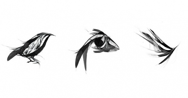 Graphic-ExchanGE - a selection of graphic projects #humanist #illustration #design #typography