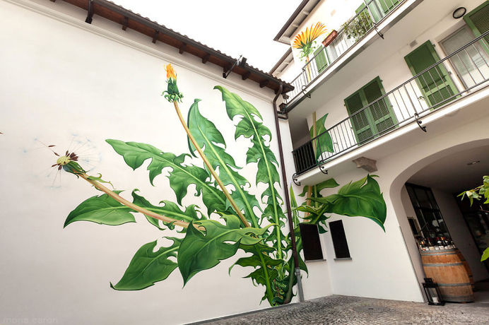 I Paint Weed Murals That Slowly Take Over The City (Gifs+Video) | Bored Panda #flower #art #street