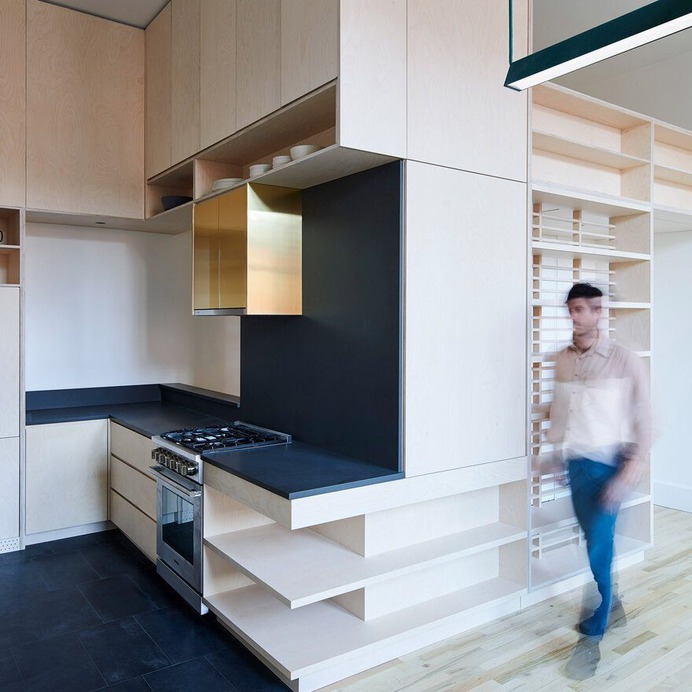 Brooklyn Apartment Renovation by Light and Air Architecture