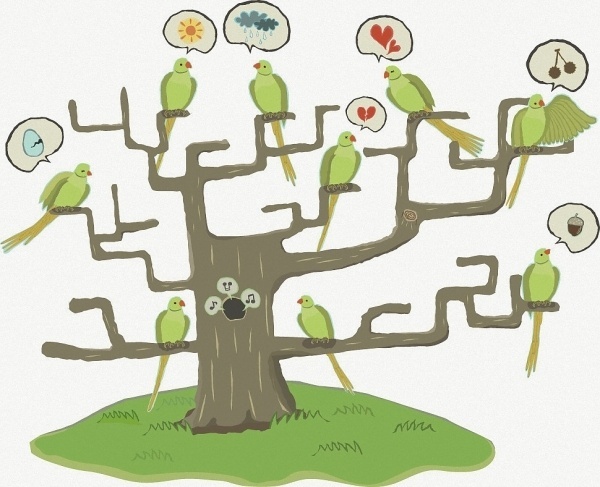 Parrot talk - Rieko Vining | Visual Design + Illustration | London #illustration