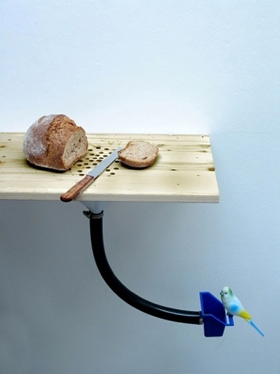 chopping.jpg 550×733 pixels #food #bird