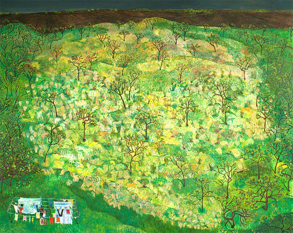 sophia heymans #green #nature #drawings